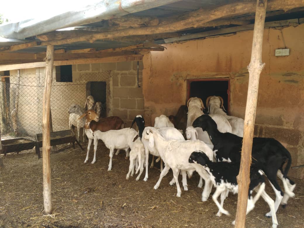 BEZER HOME – Mashiah Foundation